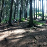 phoca_thumb_m_vp- 4. den  128 Fotogalerie